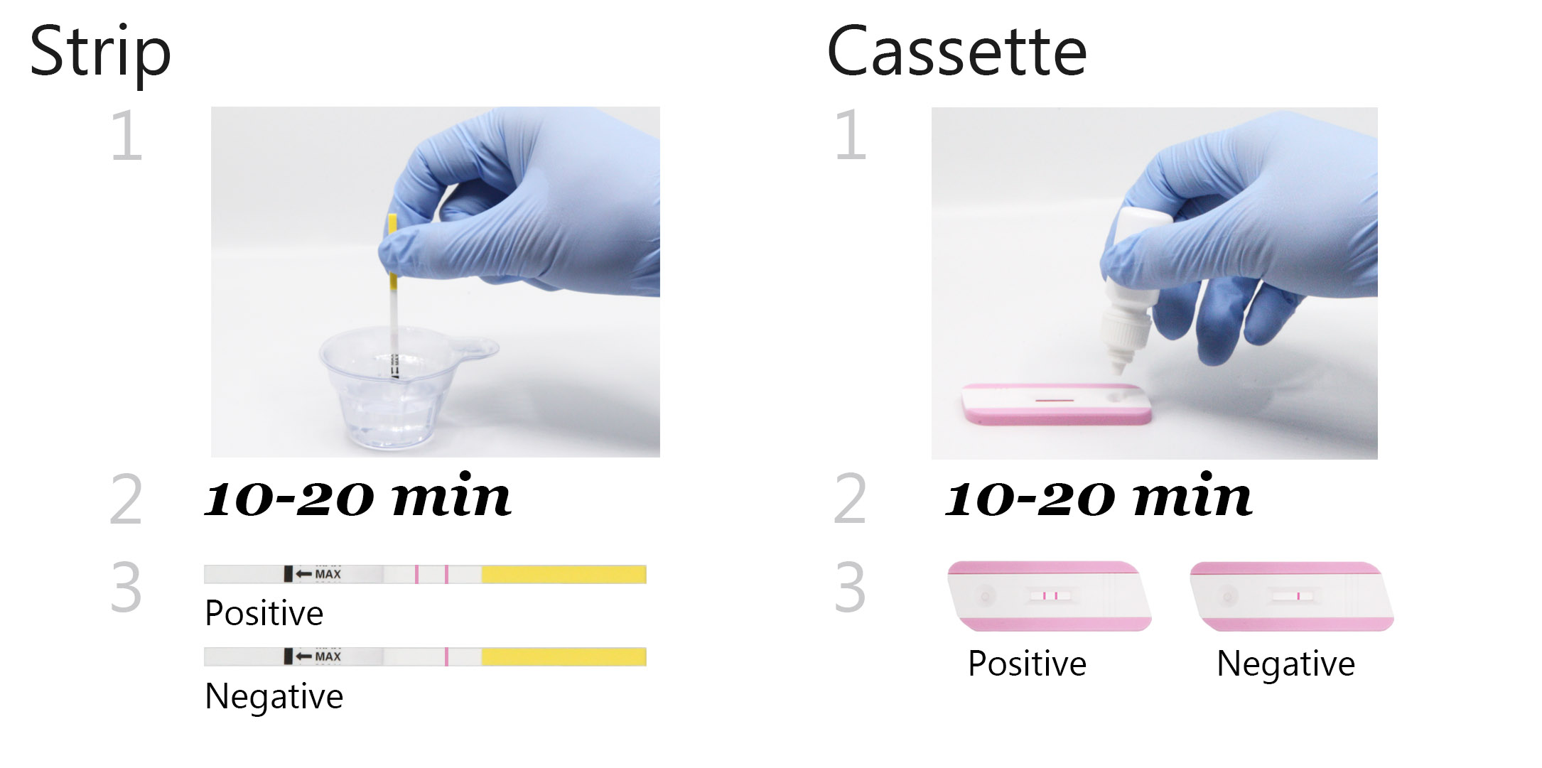 hepatitis-b-virus-antigen-hbsag-test-atlas-link-atlaslink